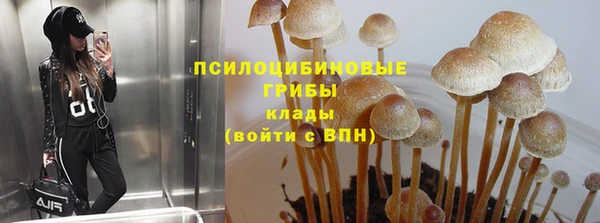 apvp Аркадак