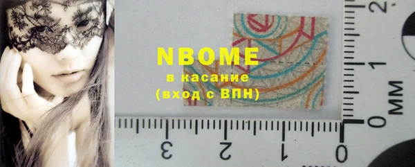 стаф Верея