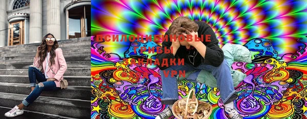 apvp Аркадак