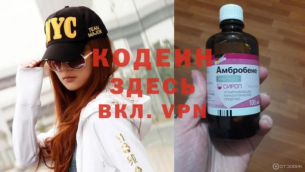 ешки Алзамай